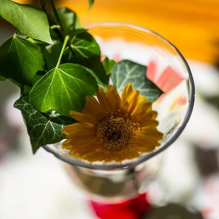 호텔 Reichsschenke Zum Ritter Goetz 