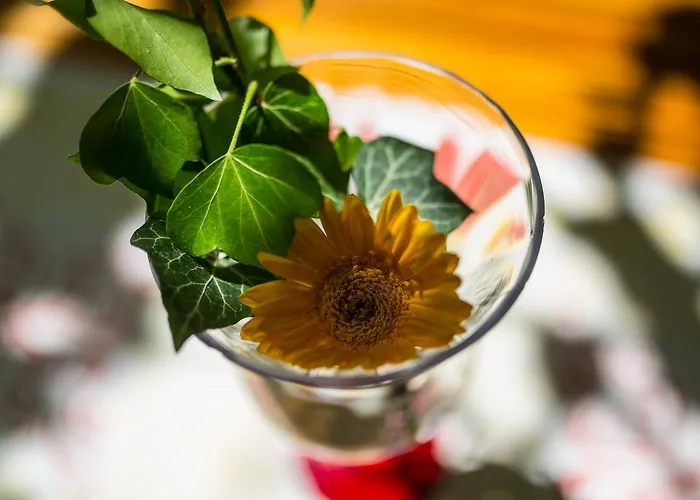 Hotel Reichsschenke Zum Ritter Goetz 